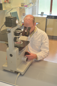 Lab working