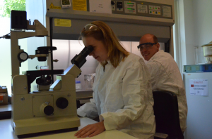 Lab working